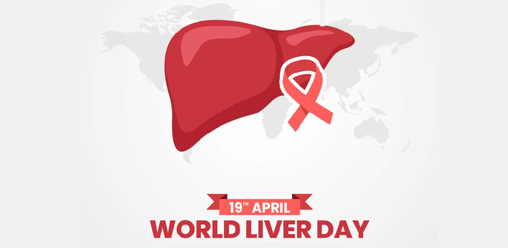 Liver