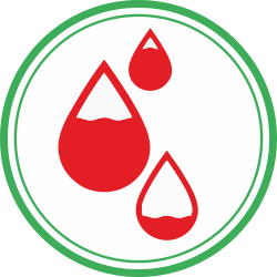 lifeonplus