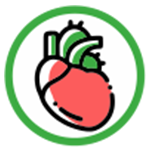 lifeonplus