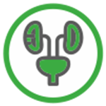 lifeonplus