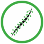 lifeonplus